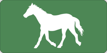 Show details for Animal 17219437 Picture of Animal 17219437