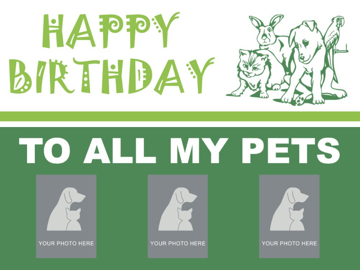 Show details for Pet Lover 7543013 Picture of Pet Lover 7543013