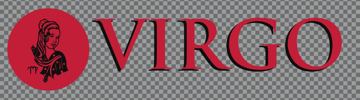 Picture of Zodiac Clear Decals 11965781