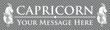 Picture of Zodiac Clear Decals 11965898