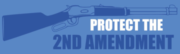 Picture of Gun Rights 13044229