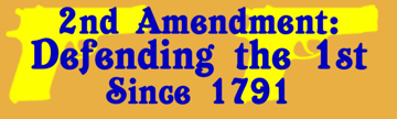 Picture of Gun Rights 13045313
