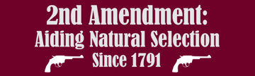 Picture of Gun Rights 13045740