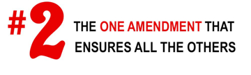 Picture of Gun Rights 13047648