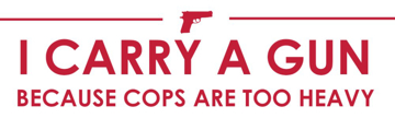 Picture of Gun Rights 33208750