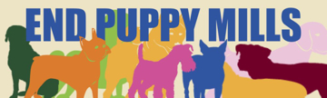 Picture of Animal Rights 17237447