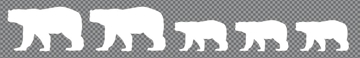 Picture of Family Clear Decals 11699380