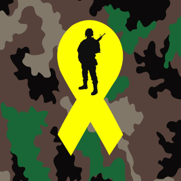 Picture of Military Support 878128230