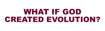 Picture of Evolution/Darwin 14931402