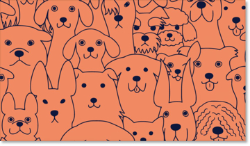 Show details for BC - Animals & Pet Care 8 - Double Sided Picture of BC - Animals & Pet Care 8 - Double Sided
