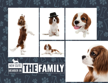 Show details for Magnetic Photos 10 - Horizontal Picture of Magnetic Photos 10 - Horizontal