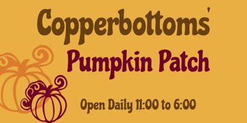 Show details for Halloween 16907865 Picture of Halloween 16907865