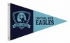 Picture of Pennant Flags