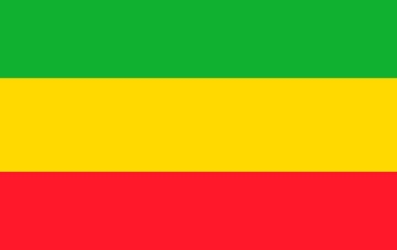 Picture of Novelty Flag 4 - 5x8