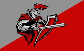 Picture of Sports Flag 7