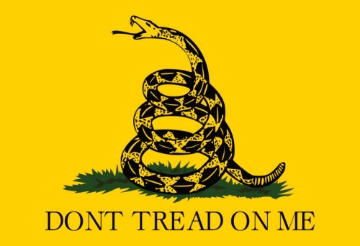 Picture of Political Flags 878762323