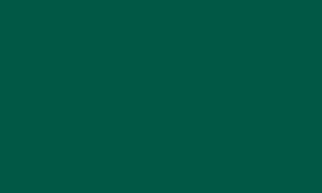 Picture of Green Flag