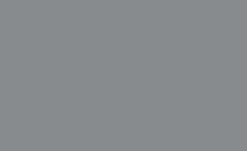 Picture of Grey Flag