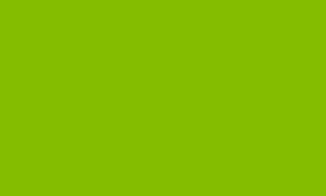 Show details for Light Green Flag Picture of Light Green Flag