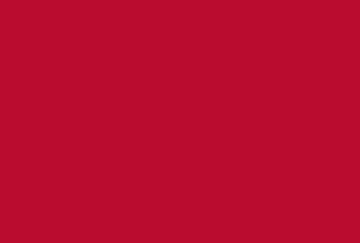 Show details for Brick Flag 11- 4x6 Picture of Brick Flag 11- 4x6