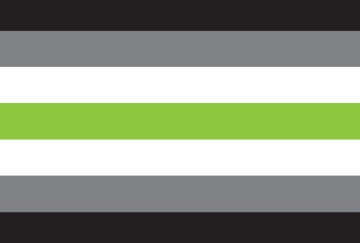 Picture of Agender Pride Flag- 4x6