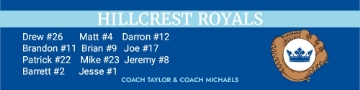 Picture of Vinyl Sports 14